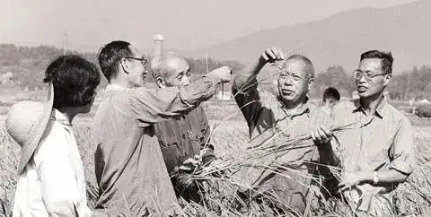 J9集团国际站【中国区】官方网站