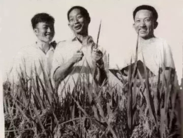 J9集团国际站【中国区】官方网站